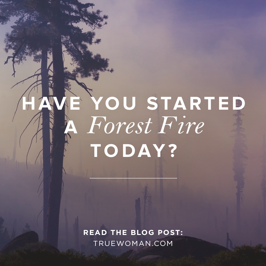 Forest Fire for ios instal free