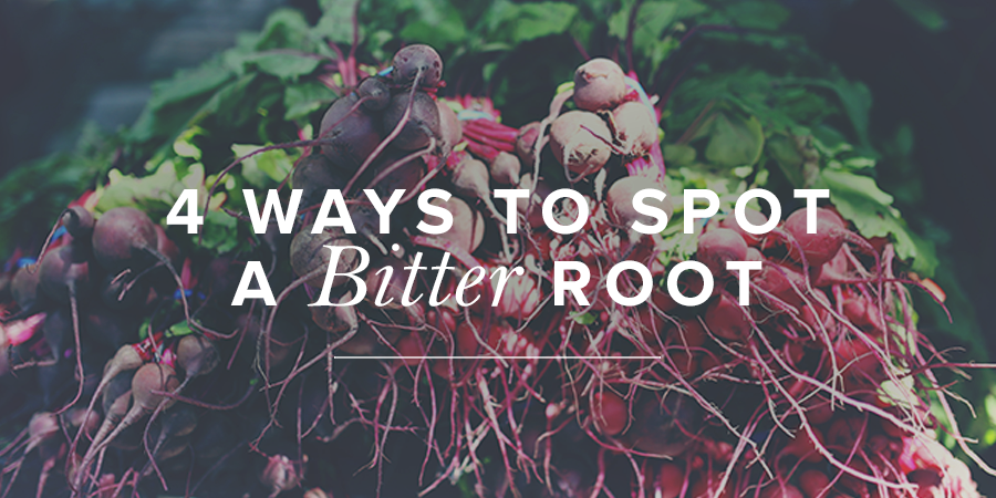 4 Ways to Spot a Bitter Root  True Woman Blog  Revive 