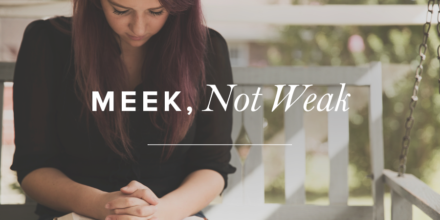 Meek Not Weak True Woman Blog Revive Our Hearts 