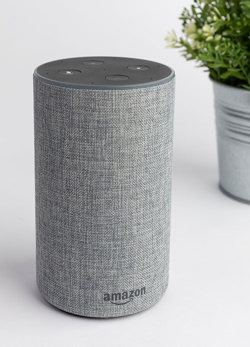 Amazon tap speaker in front of a plant