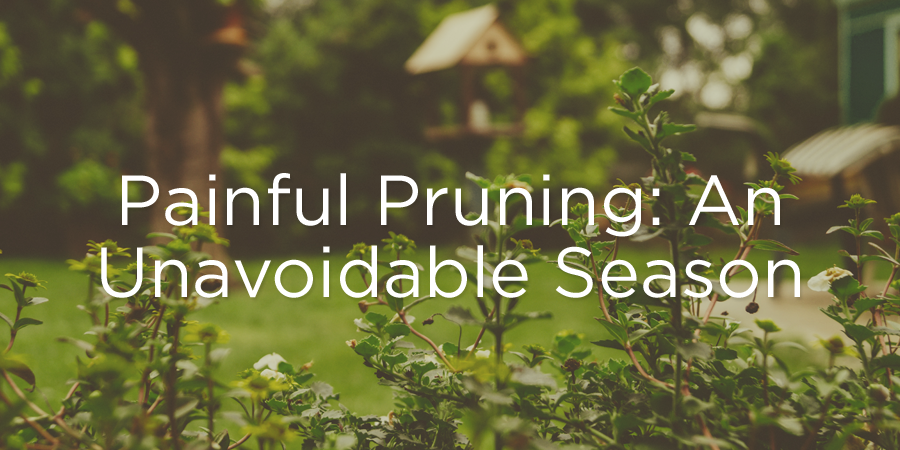 Painful Pruning: An Unavoidable Season | True Woman Blog ...